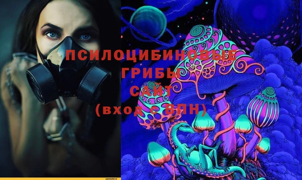 прущий лед Алзамай