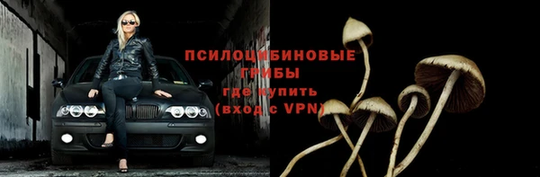 трава Аркадак