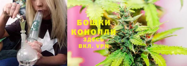 трава Аркадак