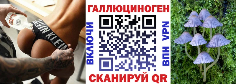 Псилоцибиновые грибы мицелий Оренбург